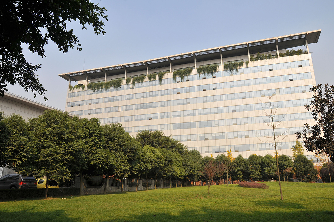 堅定發(fā)展信念         強化國有控股