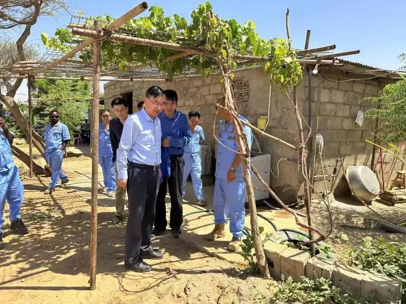 中國駐厄立特里亞大使蔡革赴克爾克貝特項目走訪調(diào)研