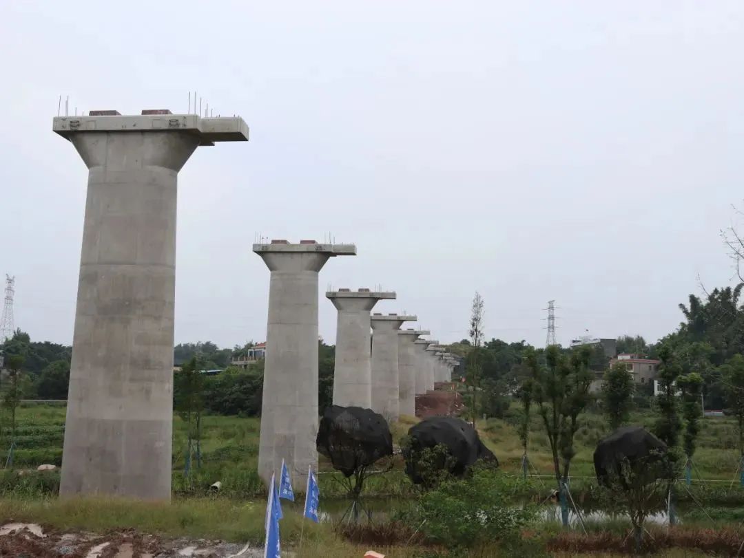 隆黃鐵路全線首個(gè)標(biāo)段主線橋梁主體工程全部完工