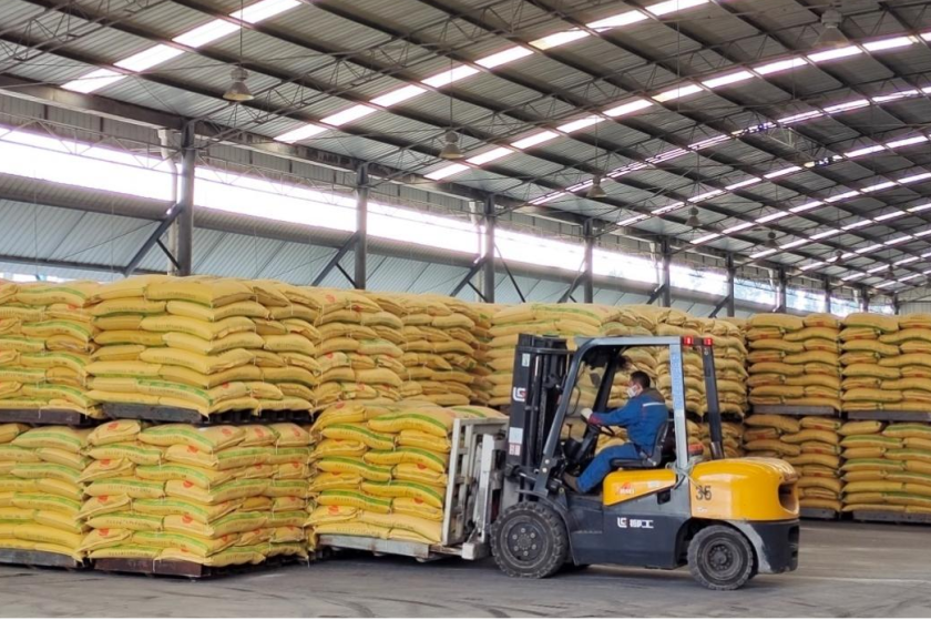 起步就是沖刺！他們開啟龍年加速跑②